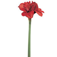 AMARILIS - rdeča/zelena, Basics, kovina/umetna masa (19/55/14cm) - Leonardo