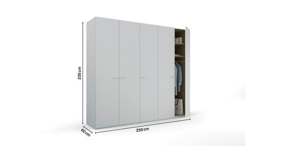 DREHTÜRENSCHRANK 251/235/60 cm 5-türig Hellgrau - Hellgrau, Trend, Glas/Holzwerkstoff (251/235/60cm) - Novel