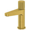 WASCHTISCHARMATUR 4,9/16,5/14,3 cm  - Goldfarben, MODERN, Metall (4,9/16,5/14,3cm)