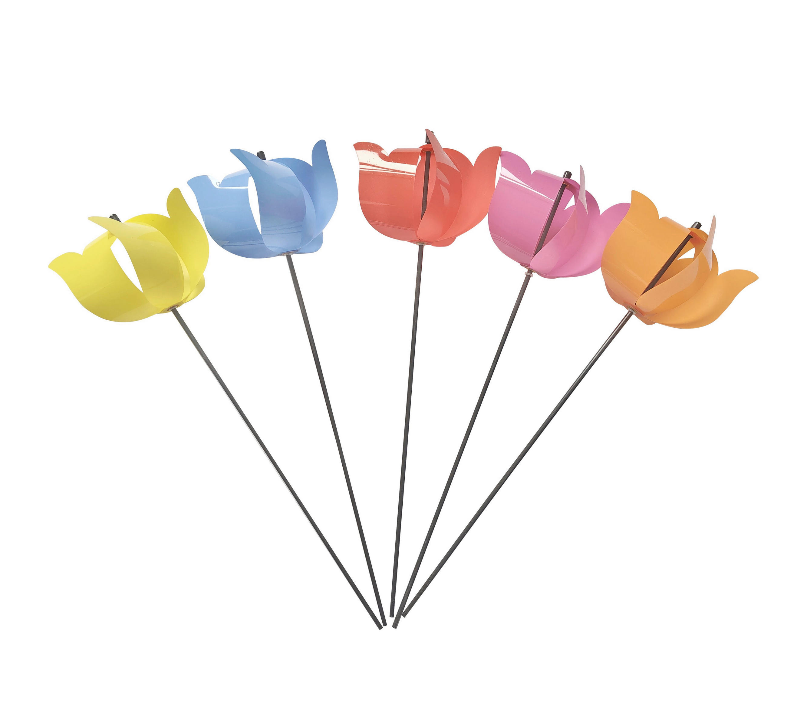 WINDRAD - Blau/Pink, Lifestyle, Glas/Kunststoff (14,5/50cm)