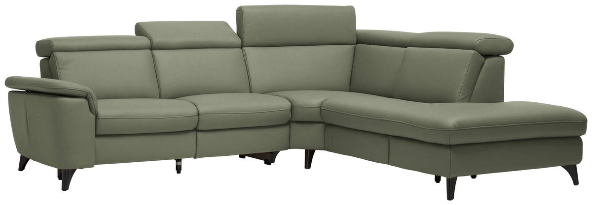 ECKSOFA in Echtleder Grün  285/239 cm  - Schwarz/Grün, Design, Leder/Metall (285/239cm) - Cantus