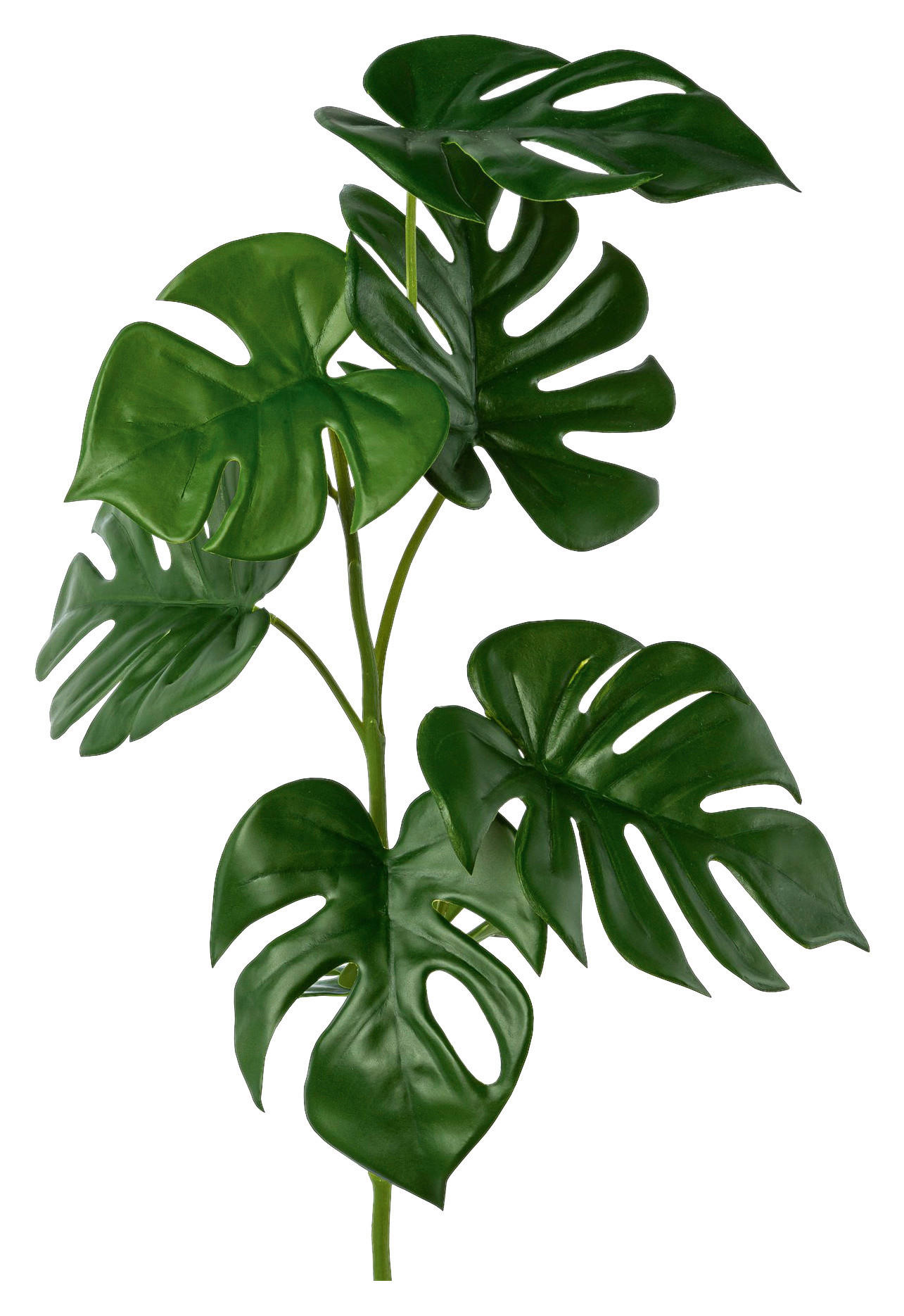 Kunstpflanze Philodendron Grün L: 71 Cm, Gertrud