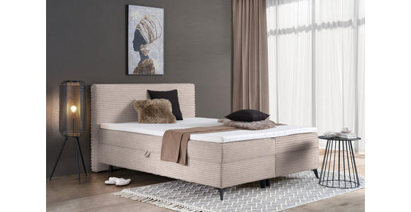 BOXBETT 180/200 cm in Hellrosa - Hellrosa/Schwarz, Design, Holz/Holzwerkstoff (180/200cm) - Xora