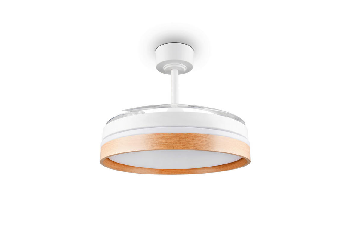 DECKENVENTILATOR - Klar/Braun, Design, Kunststoff/Metall (106/42cm)