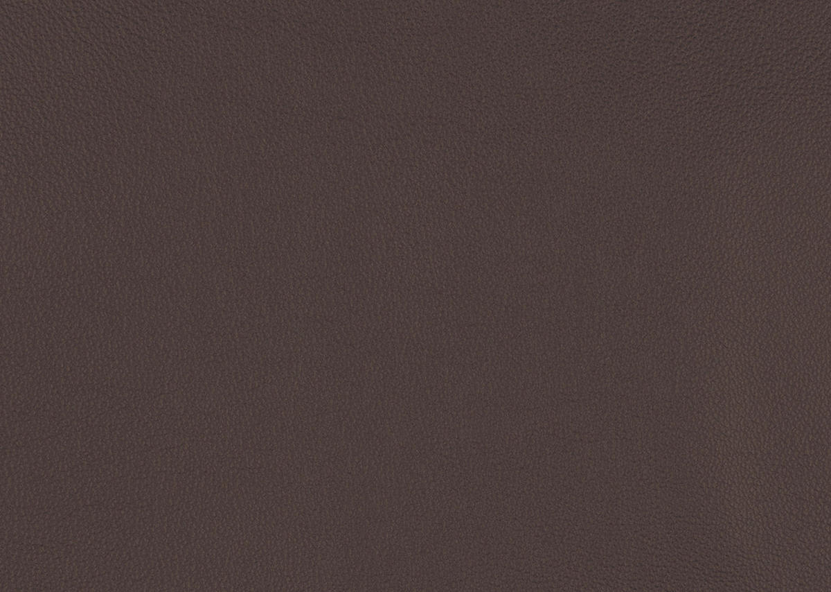 ECKSOFA  Echtleder Braun  - Schwarz/Braun, Design, Leder/Metall (169/307cm) - Beldomo Premium