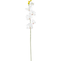 UMĚLÁ KVĚTINA orchidej 72 cm - zelená/krémová, Basics, textil (72cm)