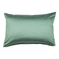 KOPFKISSENBEZUG Giacomo 40/60 cm  - Salbeigrün, Basics, Textil (40/60cm) - Janine