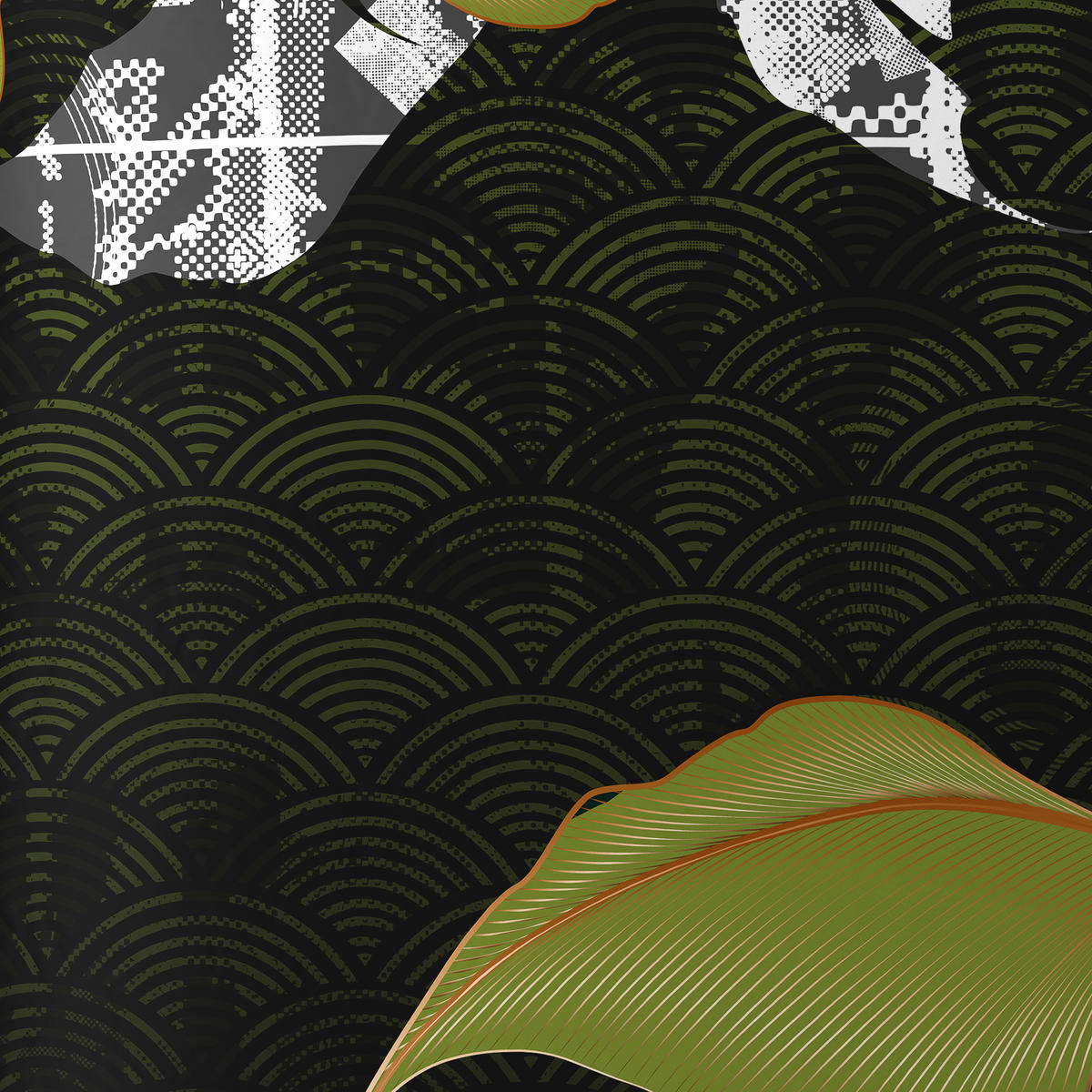 BETTWÄSCHESET MARIE Satin 160/210 cm  65 cm/100 cm  - Schwarz/Grün, Konventionell, Textil (160/210cm) - Esposa