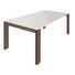 ESSTISCH Kernnussbaum furniert rechteckig Weiß, Nussbaumfarben - Nussbaumfarben/Weiß, Design, Holz (160/100/75cm) - Now by Hülsta ESSTISCH Kernnussbaum furniert rechteckig Weiß, Nussbaumfarben - Nussbaumfarben/Weiß, Design, Holz (160/100/75cm) - Now by Hülsta