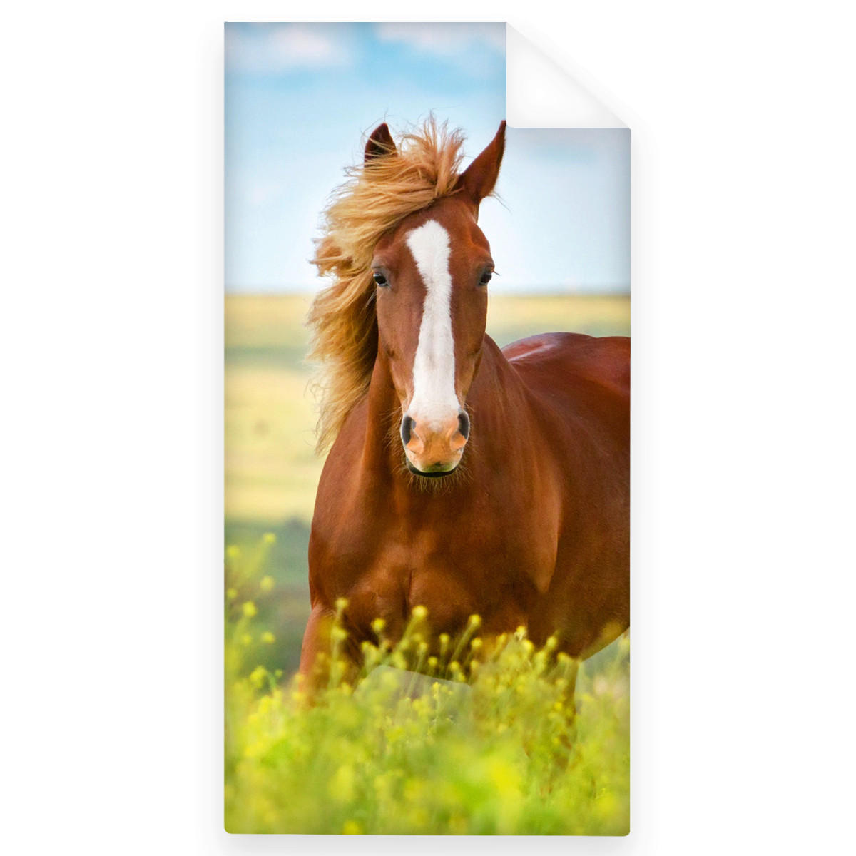 BADETUCH Blau, Braun, Grün, Multicolor 75/150 cm  - Blau/Multicolor, Basics, Textil (75/150cm) - Herding