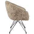 ARMLEHNSTUHL  in Eisen Teddystoff Echtleder pigmentiert  - Taupe/Schwarz, Design, Leder/Textil (59,5/83,5/63,5cm) - Belluti