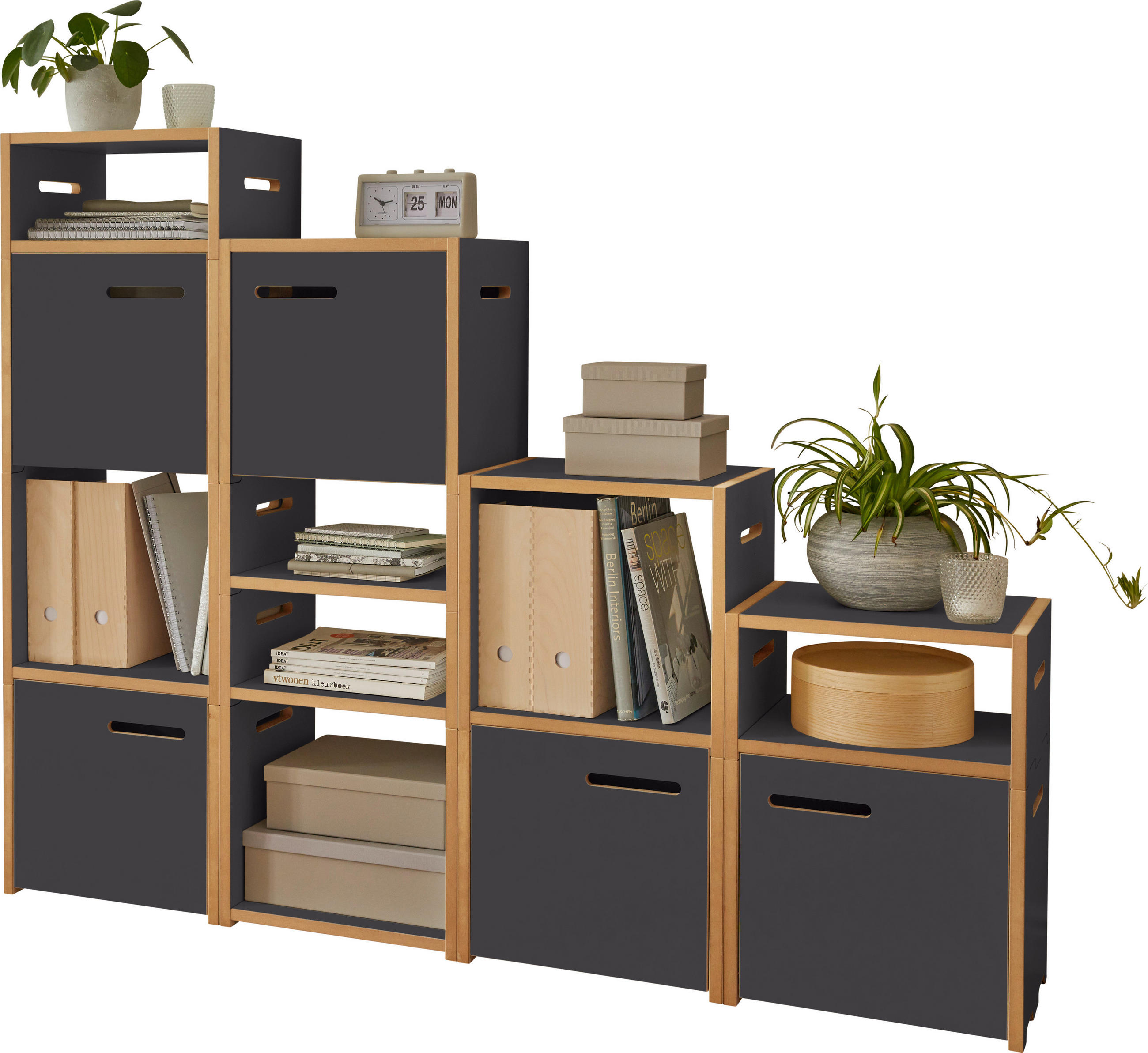 REGAL Anthrazit, Buchefarben  - Anthrazit/Buchefarben, MODERN, Holzwerkstoff (160/126,2/32cm) - Tojo