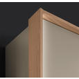 DREHTÜRENSCHRANK  in Taupe, Eichefarben  - Taupe/Eichefarben, Design, Holz/Holzwerkstoff (299,2/229,4/59,5cm) - Dieter Knoll