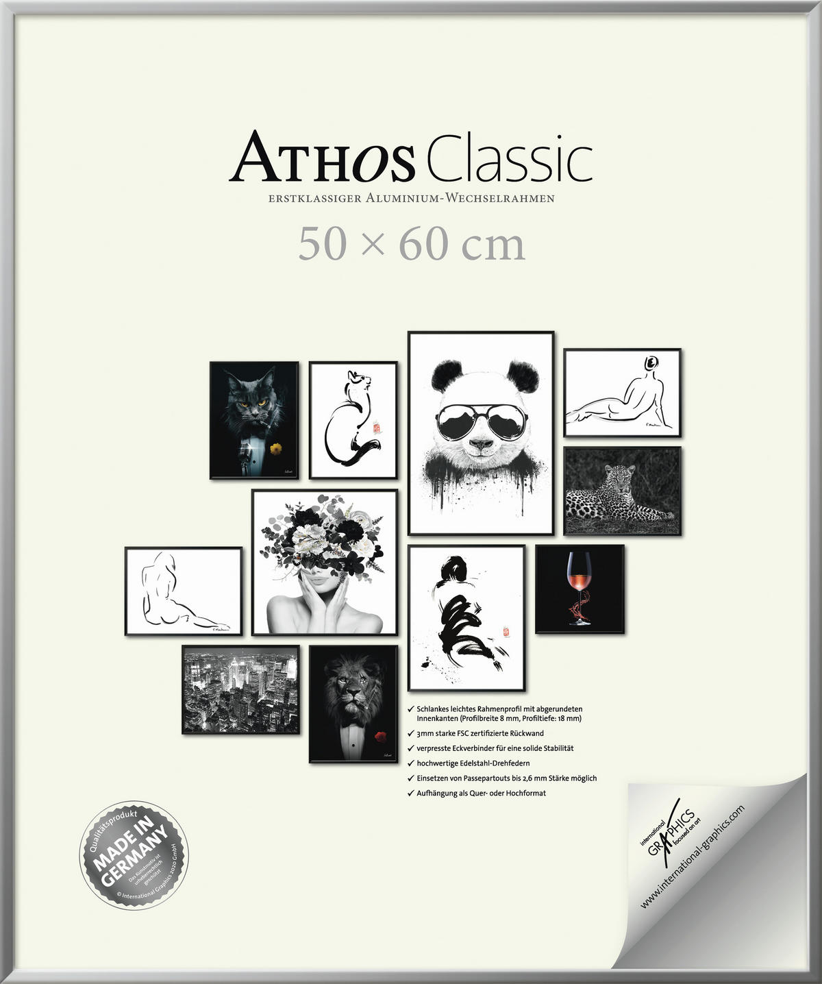 BILDERRAHMEN - Chromfarben, Basics, Papier/Holzwerkstoff (50/60/1,8cm)