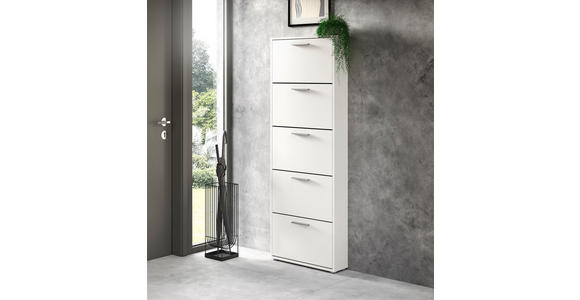 SCHUHKIPPER - Silberfarben/Weiß, Design, Holzwerkstoff/Kunststoff (59/169/17cm) - Carryhome