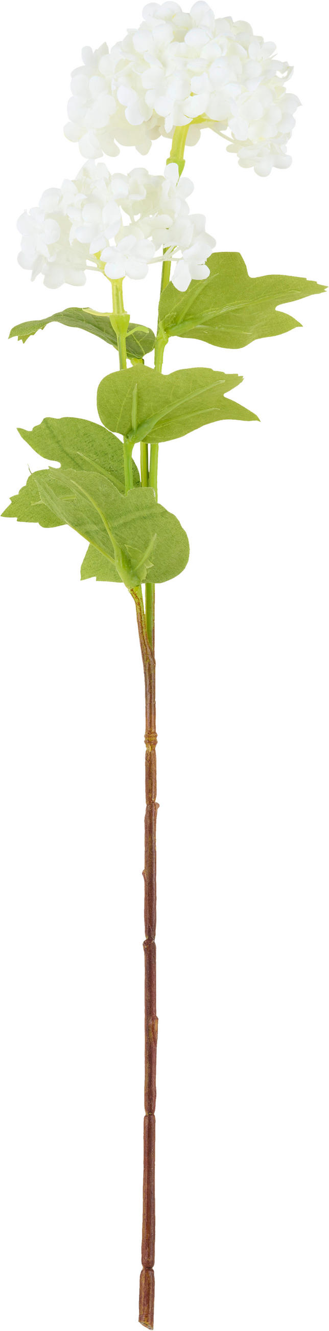 KUNSTBLUME - Creme/Weiß, Basics, Kunststoff/Textil (48cm)