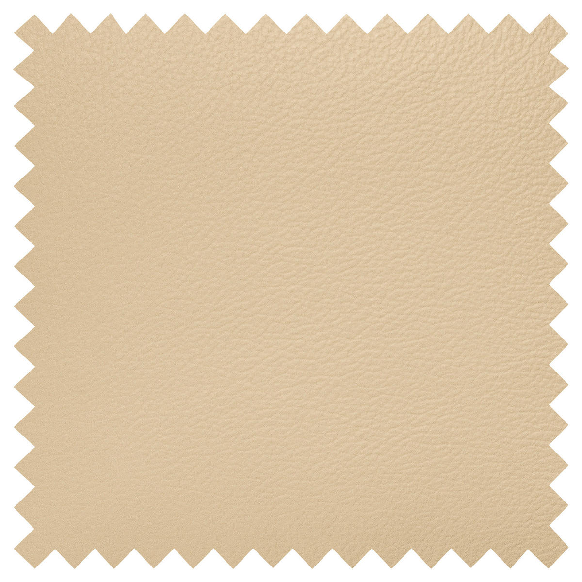 COLțAR textil, piele bej  - bej/culoare crom, Design, metal/textil (241/168cm) - Livetastic