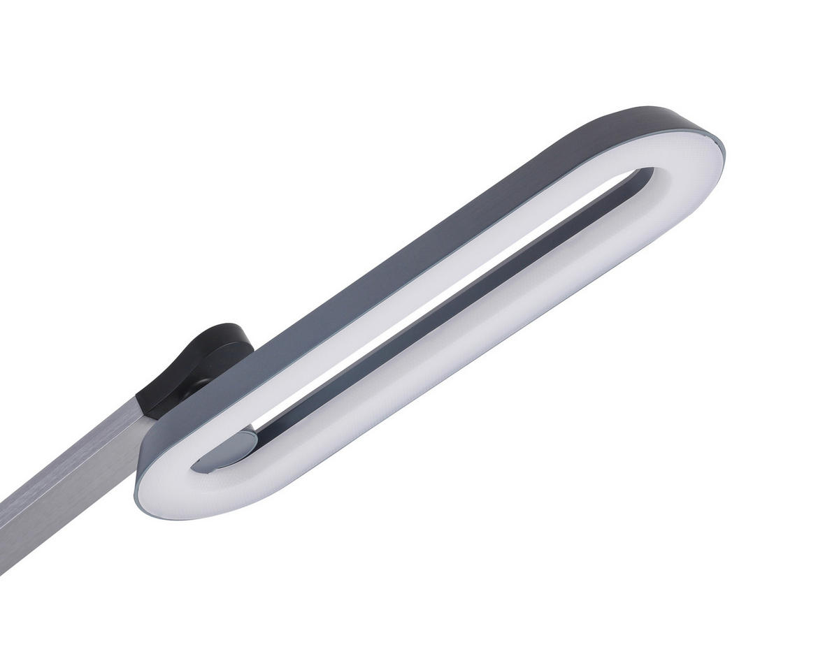 LED-STEHLEUCHTE - Anthrazit/Schwarz, Trend, Kunststoff/Metall (27,2/71/135cm) - Novel