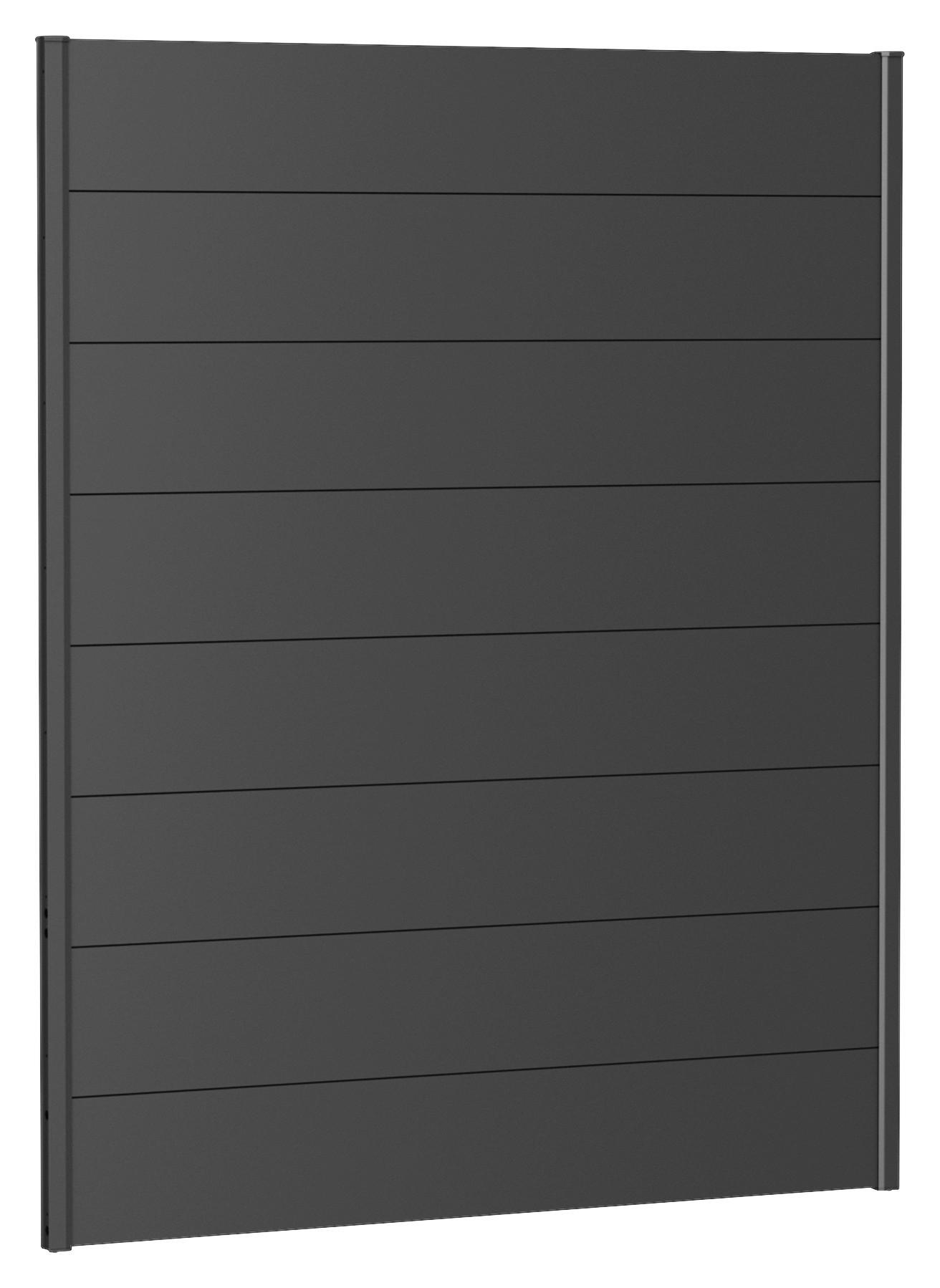 SICHTSCHUTZ - Dunkelgrau, Basics, Metall (145/182/4,4cm) - Biohort