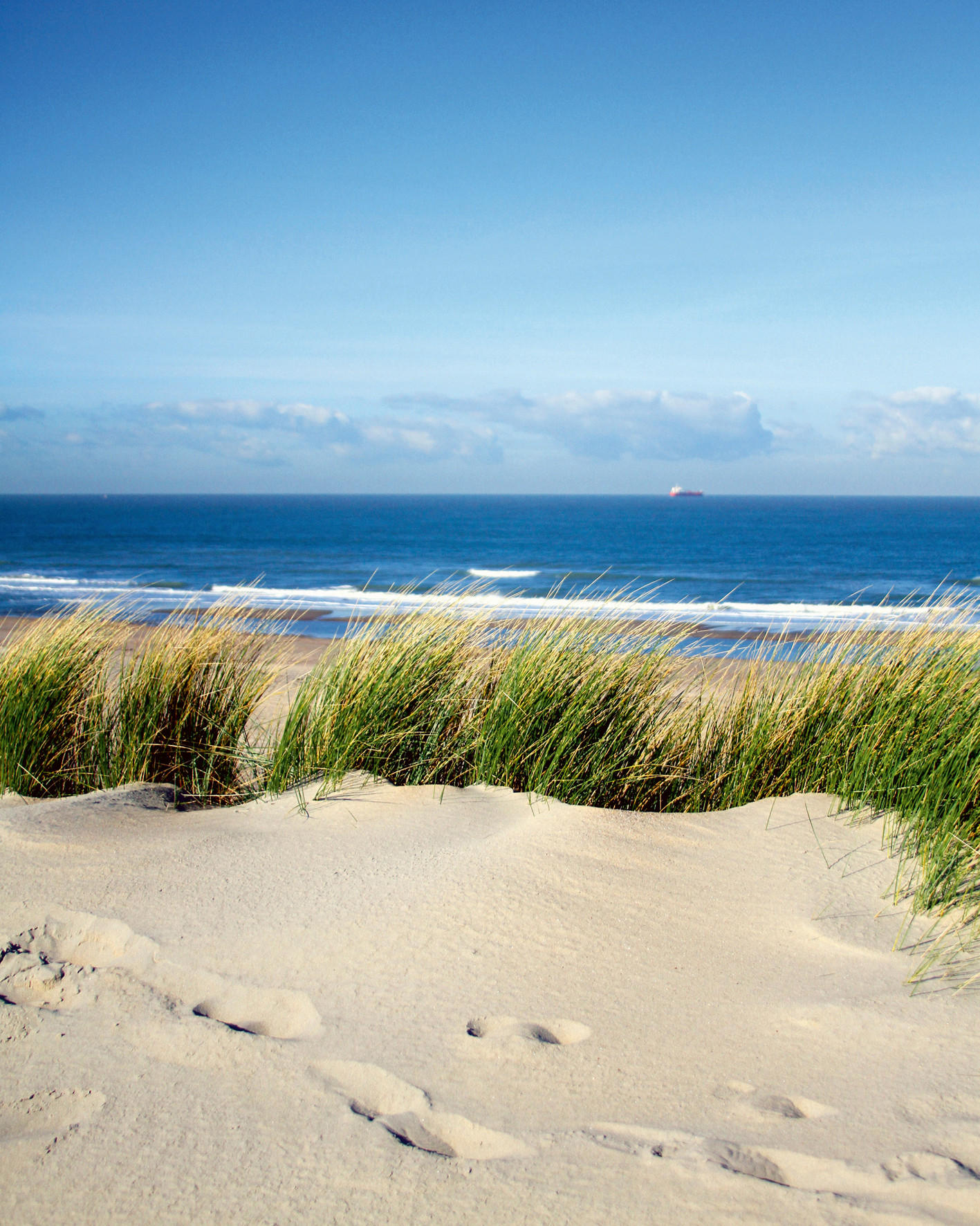 KUNSTDRUCK Strand & Meer 40/50 cm  - Sandfarben/Blau, Basics, Papier (40/50cm) - Monee