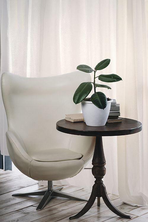 PROSOJNO BLAGO ZA ZAVESE           320 cm   ekru  - ekru, Basics, tekstil (320cm)
