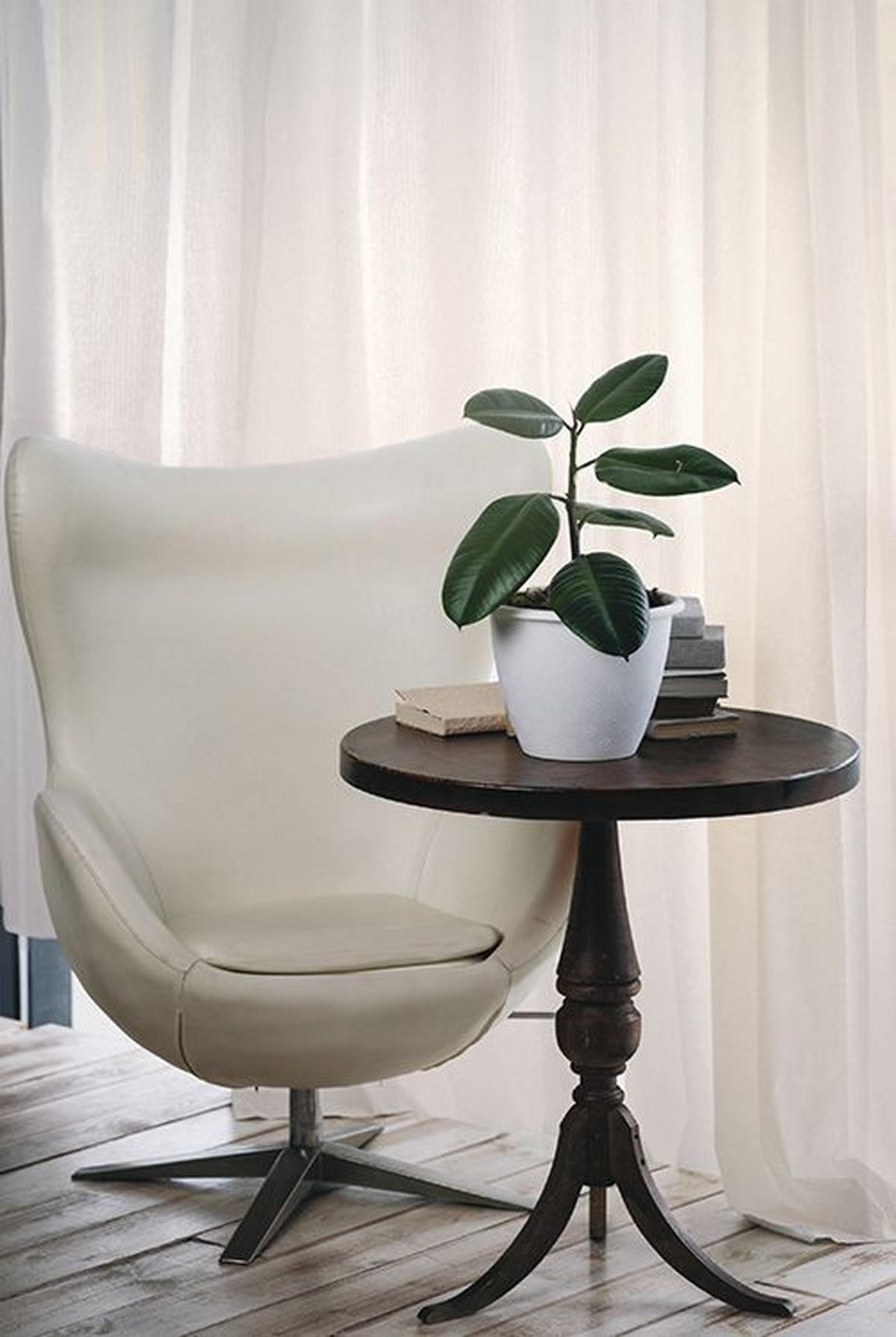 PROSOJNO BLAGO ZA ZAVESE           320 cm   ekru  - ekru, Basics, tekstil (320cm)