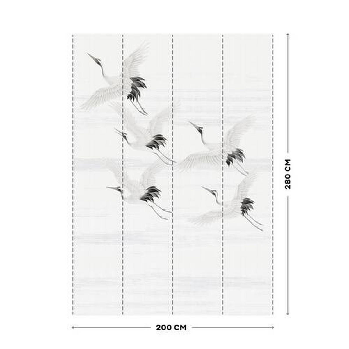 FOTOTAPETE - Weiß/Grau, Basics, Papier/Kunststoff (200/280cm)