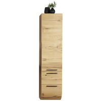 HOCHSCHRANK 40/173/45 cm  - Alteiche, MODERN, Holz (40/173/45cm) - Dieter Knoll