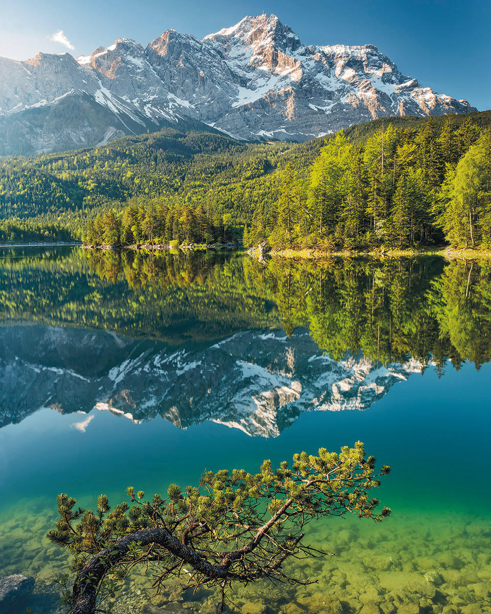 VLIESTAPETE  - Natur (200/250cm) - Komar