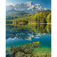 VLIESTAPETE  - Natur (200/250cm) - Komar
