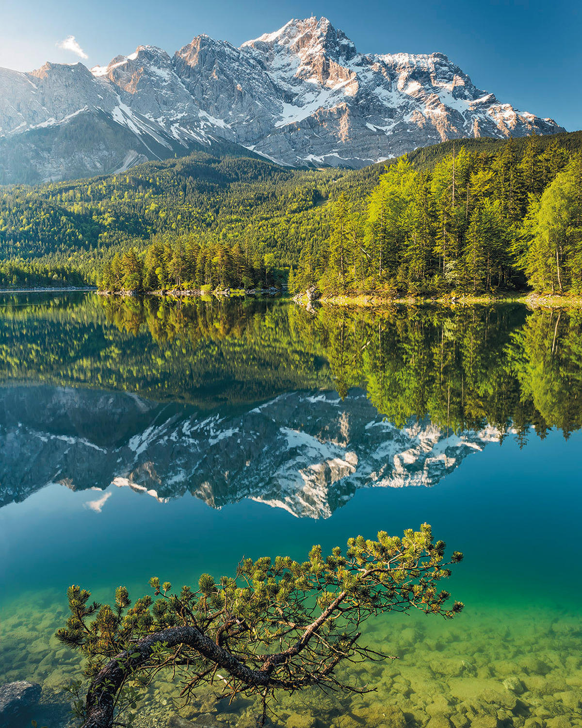 VLIESTAPETE  - Natur (200/250cm) - Komar
