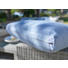 GARTENSET Webstoff Kunststoffgeflecht Aluminium - Hellgrau, Design, Glas/Kunststoff (228/58/89cm) - Ambia Garden
