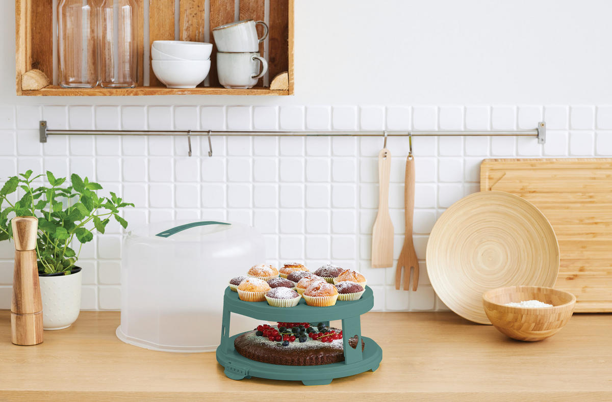 KUCHENTRANSPORTBOX - Transparent/Grün, Basics, Kunststoff (35,5/34,5/26cm) - Rotho