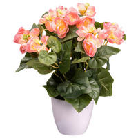 KUNSTPFLANZE 35 cm  - Rosa/Weiß, Design, Kunststoff (35cm) - P & B