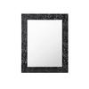 WANDSPIEGEL 55/70/2 cm    in rechteckig  - Schwarz, LIFESTYLE, Glas/Kunststoff (55/70/2cm) - Carryhome