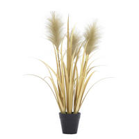 SCHILFGRAS Schilfgras  - Goldfarben/Schwarz, Basics, Kunststoff/Textil (55cm) - Ambia Home