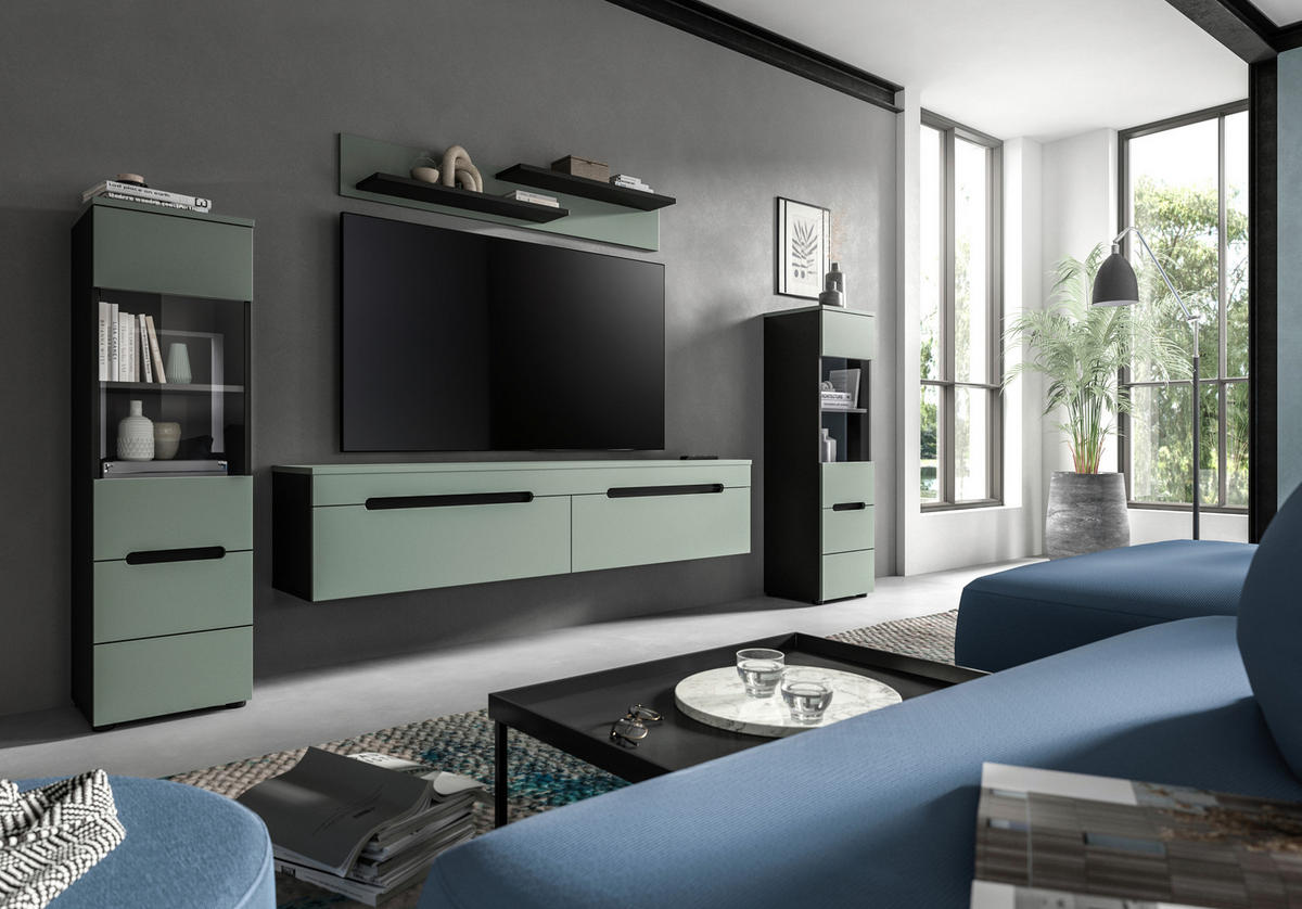 OBÝVACÍ STĚNA  - černá, Design, kompozitní dřevo/plast (272/141/33cm) - Livetastic