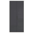 DREHTÜRENSCHRANK 101/223/61 cm,  in Graphitfarben, 2-türig  - Graphitfarben, Basics, Glas/Holzwerkstoff (101/223/61cm) - Novel