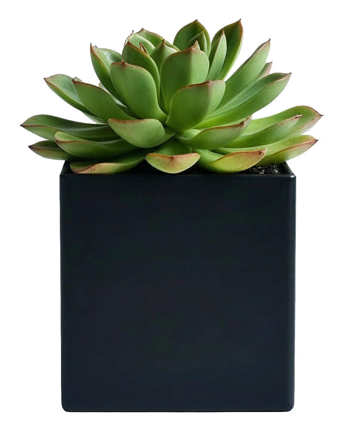 AKUSTIKPANEEL-ZUBEHÖR  - Schwarz, Basics, Metall (6,5/6,5/6,5cm)