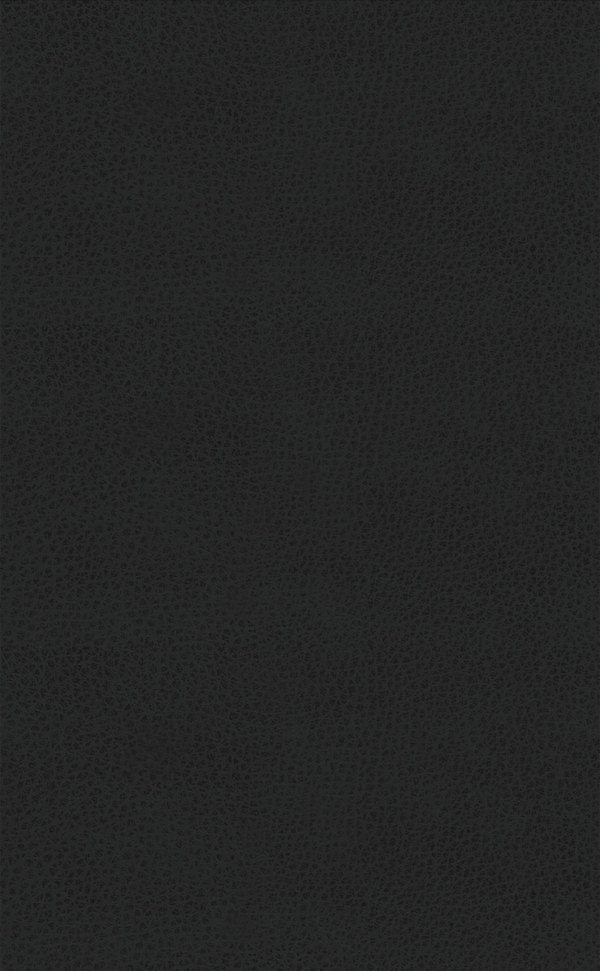 POLSTERBETT 140/200 cm  in Anthrazit  - Anthrazit/Schwarz, Konventionell, Holzwerkstoff/Kunststoff (140/200cm) - RUF Betten