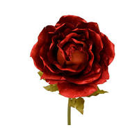 VRTNICA - Basics (135,00cm)