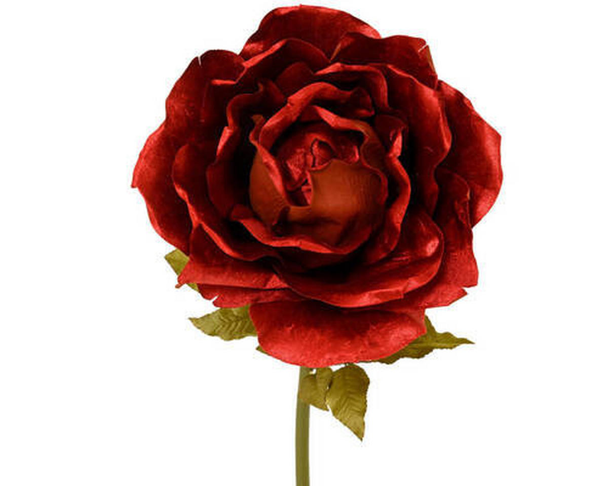 VRTNICA - Basics (135,00cm)