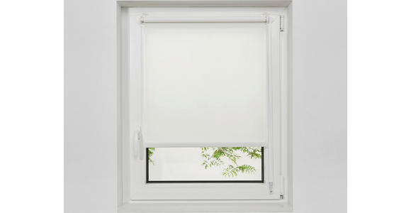 ROLLO 100/160 cm  - Weiß, Design, Kunststoff (100/160cm) - Boxxx