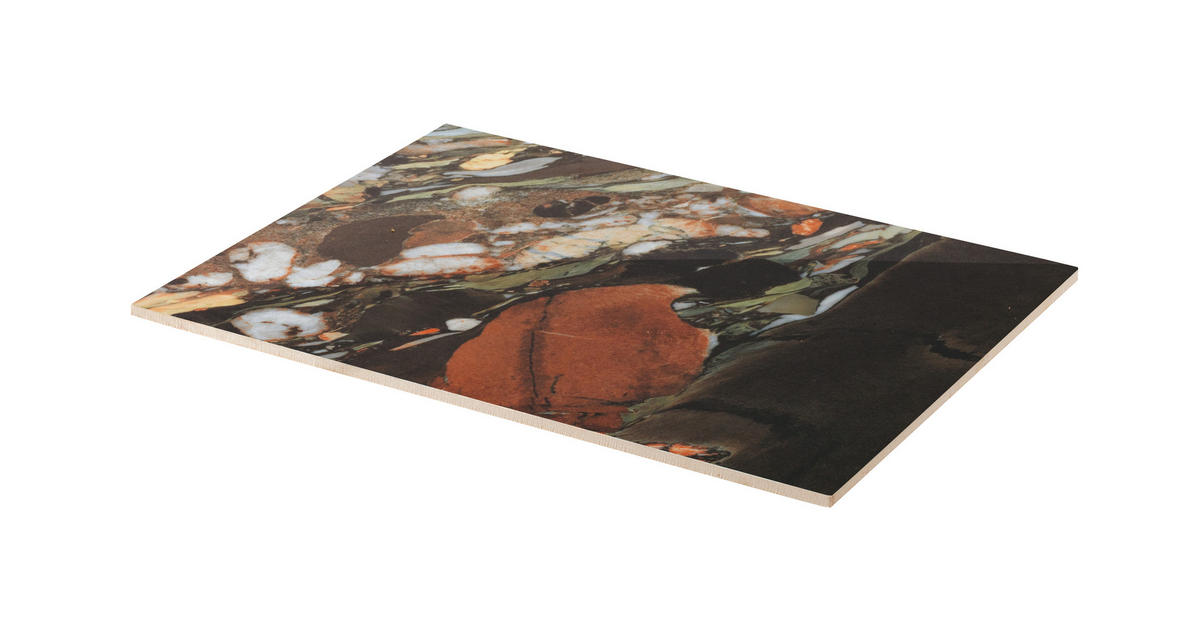 PLADENJ  Radici     26/32 cm        - večbarvno, Basics, keramika (26/32cm) - Sambonet