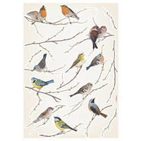 DEKOSTICKER  - Klar/Multicolor, Natur, Kunststoff (50/70cm) - Komar