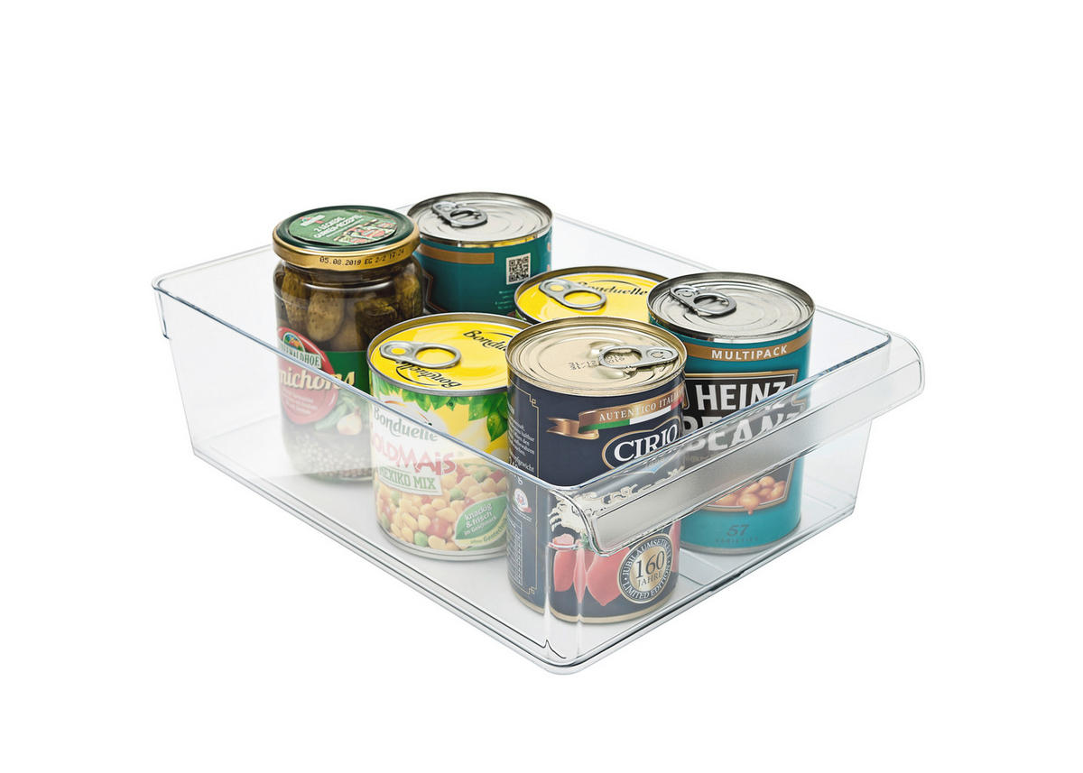 BOX DO LEDNICE   - průhledné, Basics, plast (31/22/9cm) - Rotho