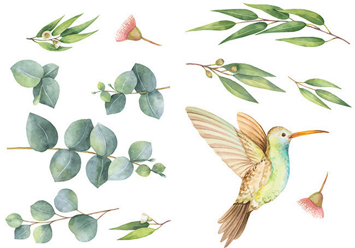 SAMOLEPKA NA ZEĎ - vícebarevná, Basics, plast (25/35cm) - Euroart