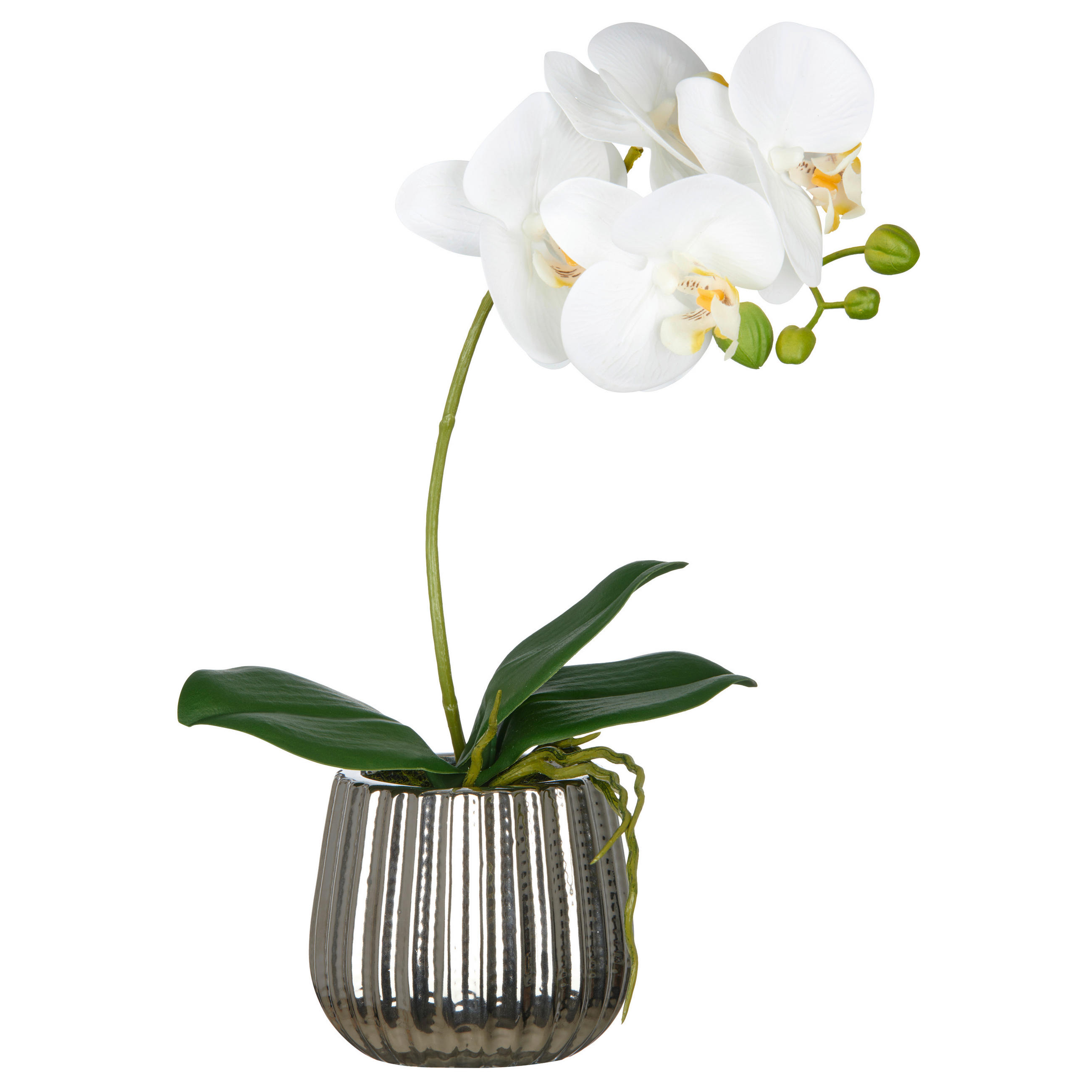 KUNSTPFLANZE Orchidee 38 cm  - Silberfarben/Schwarz, Basics, Keramik/Kunststoff (38cm)