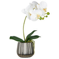 KUNSTPFLANZE Orchidee 38 cm  - Silberfarben/Schwarz, Basics, Keramik/Kunststoff (38cm)