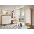 GARDEROBE 5-teilig in 215/195/40 cm - Eichefarben/Anthrazit, Design, Glas/Holz (215/195/40cm) - Novel